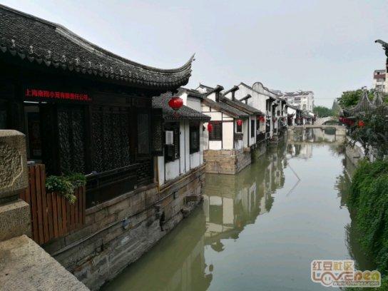 全民烧脑3去广告版